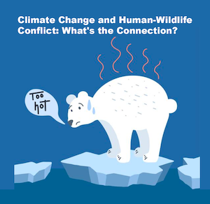 Climate Change And Human-Wildlife Conflict What's The Connection?