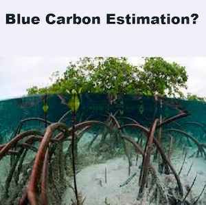 Remote Sensing: The Key To Blue Carbon Estimation?