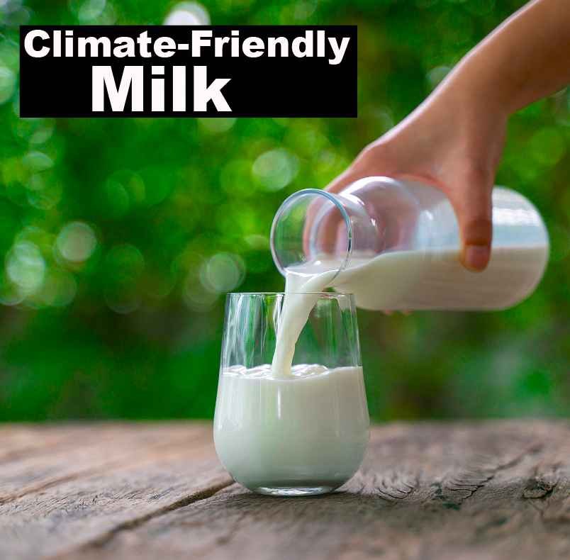 What's The Most Climate-Friendly Milk?