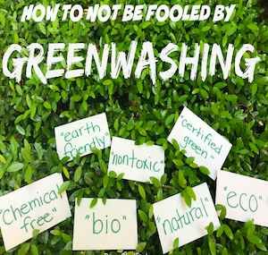 Don't Be Fooled: How To Spot Greenwashing In Tourism