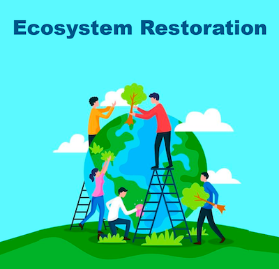 Ecosystem Restoration Is Good for Your Health