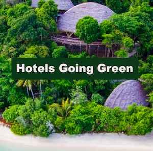 Get Bird's Eye View Of Hotels Going Green By Using Roof Tops 