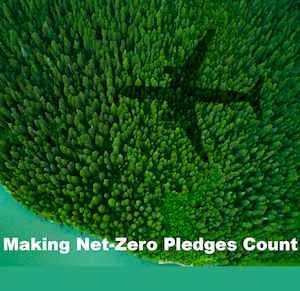 Making Net-Zero Pledges Count