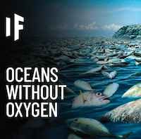 Are We Heading For An Oxygen-Free ocean, Let’s Find Out