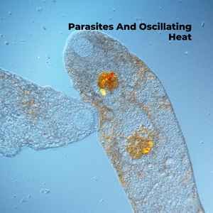 Parasites And Oscillating Heat: Are Our Oceans Carrying Stress