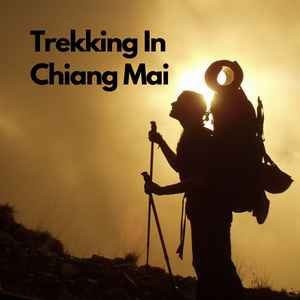 Trekking In Chiang Mai:  A True Adventure!